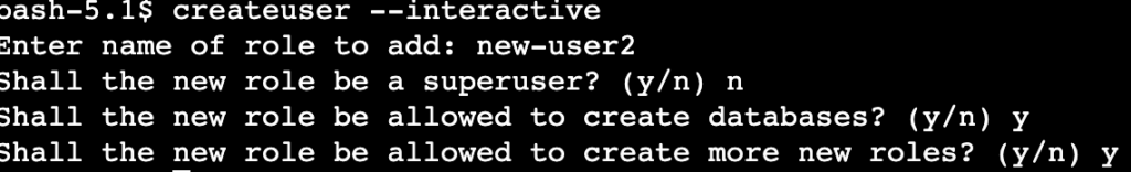 PostgreSQL interactive role creation