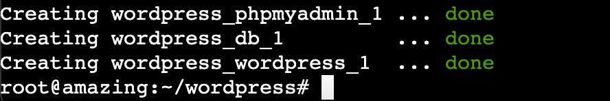 Terminal shows Docker has competed WordPress installation