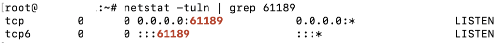 The output after executing the netstat command