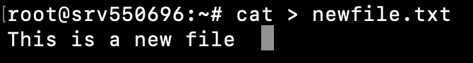 Terminal window showing the output of the cat > newfile.txt command