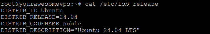 The cat command prints Ubuntu version from the LSB release file