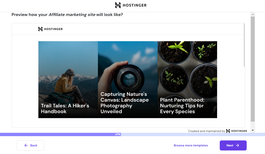 The Hostinger Affiliate theme chosen in Hostinger's managed WordPress hosting onboarding