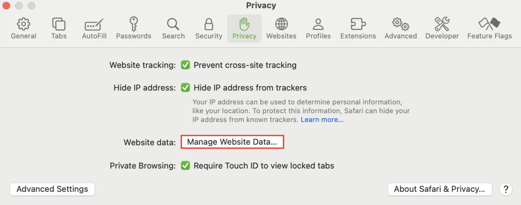 The Manage Website Data option in Safari