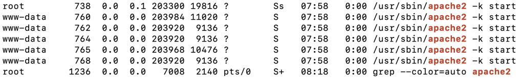 The ps aux | grep apache2 command's output in the terminal