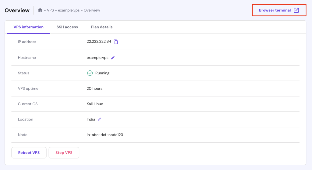 The Browser terminal button in hPanel's VPS