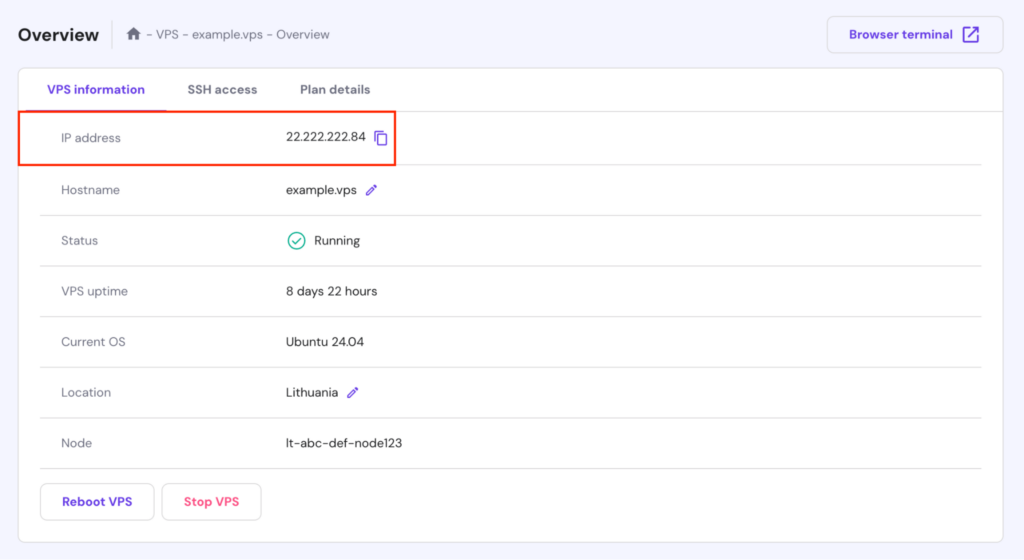 The IP address information in hPanel's VPS