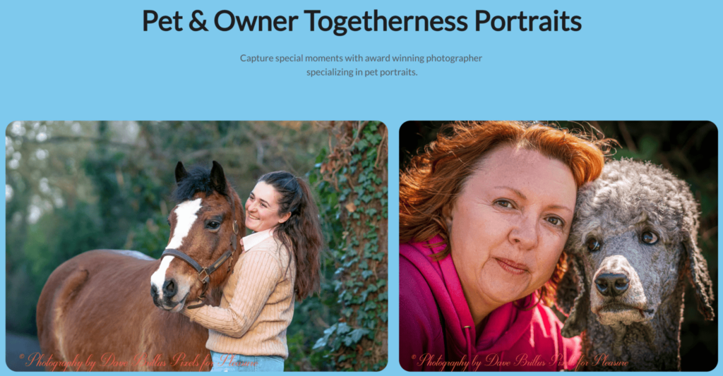 Pet portrait page of Dave Brillus Photography