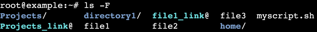 The ls -F command's output in the terminal