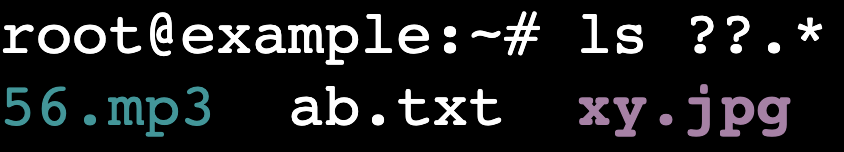 The ls ??.* command's output in the terminal
