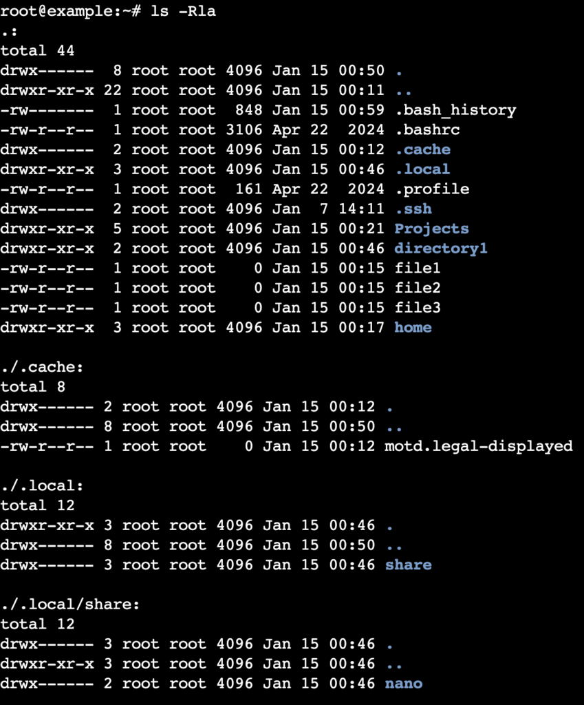 The ls -Rla command's output in the terminal
