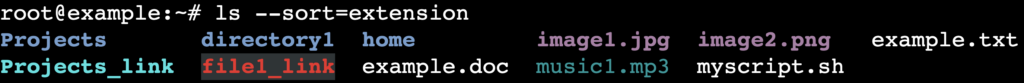 The ls --sort=extension command's output in the terminal